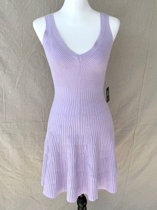 Express Dresses & Skirts - Express Size Small Lavender Ribbed Knit Fit & Flare Mini Dress NWT